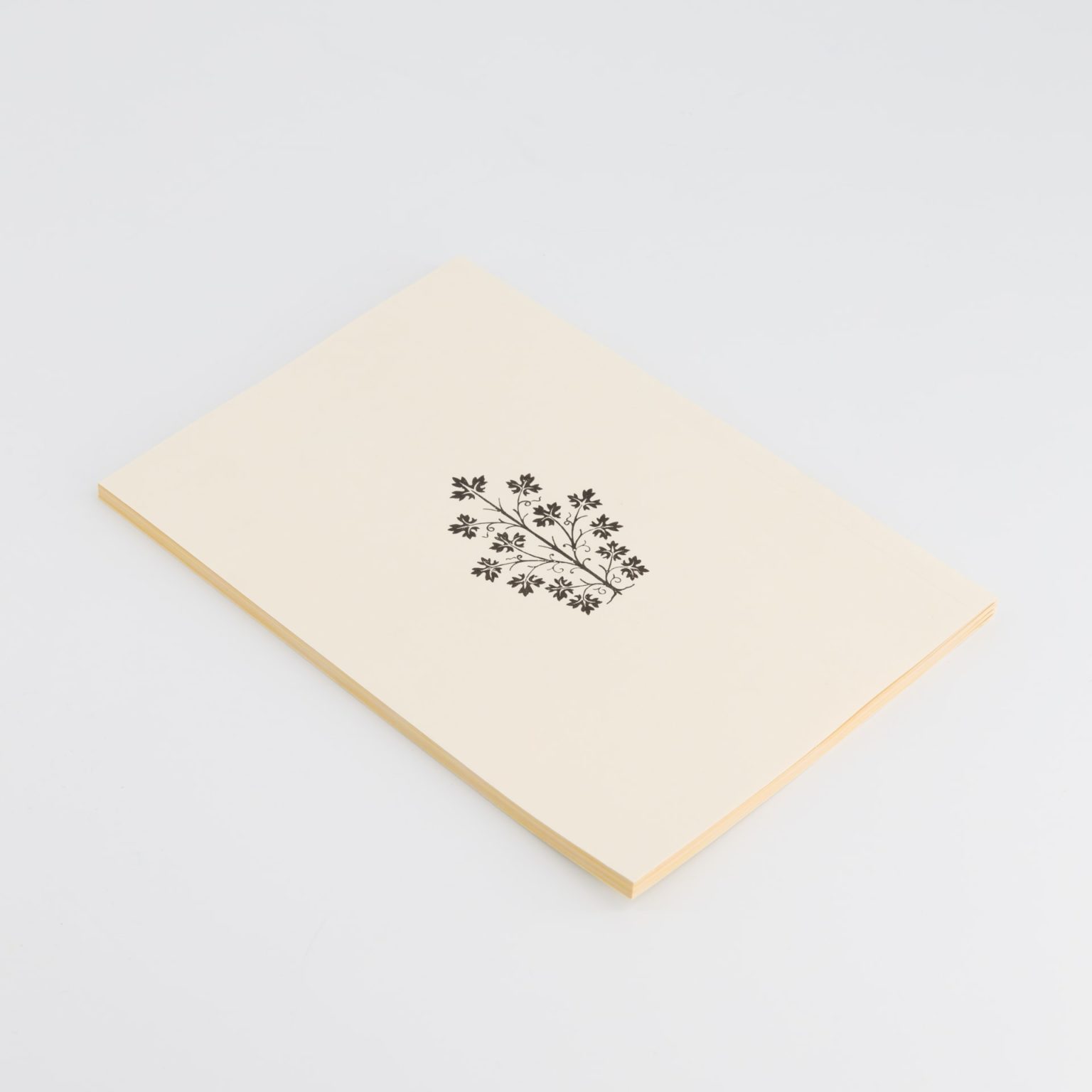 Saint Bernard de Menthon Château de Menthon